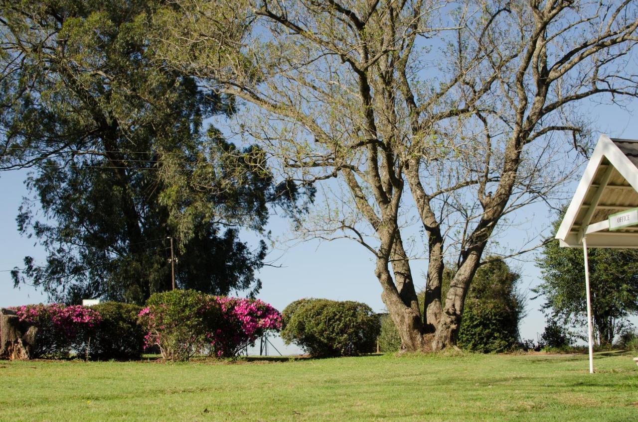 Amber Avenue Guesthouse Howick Eksteriør billede